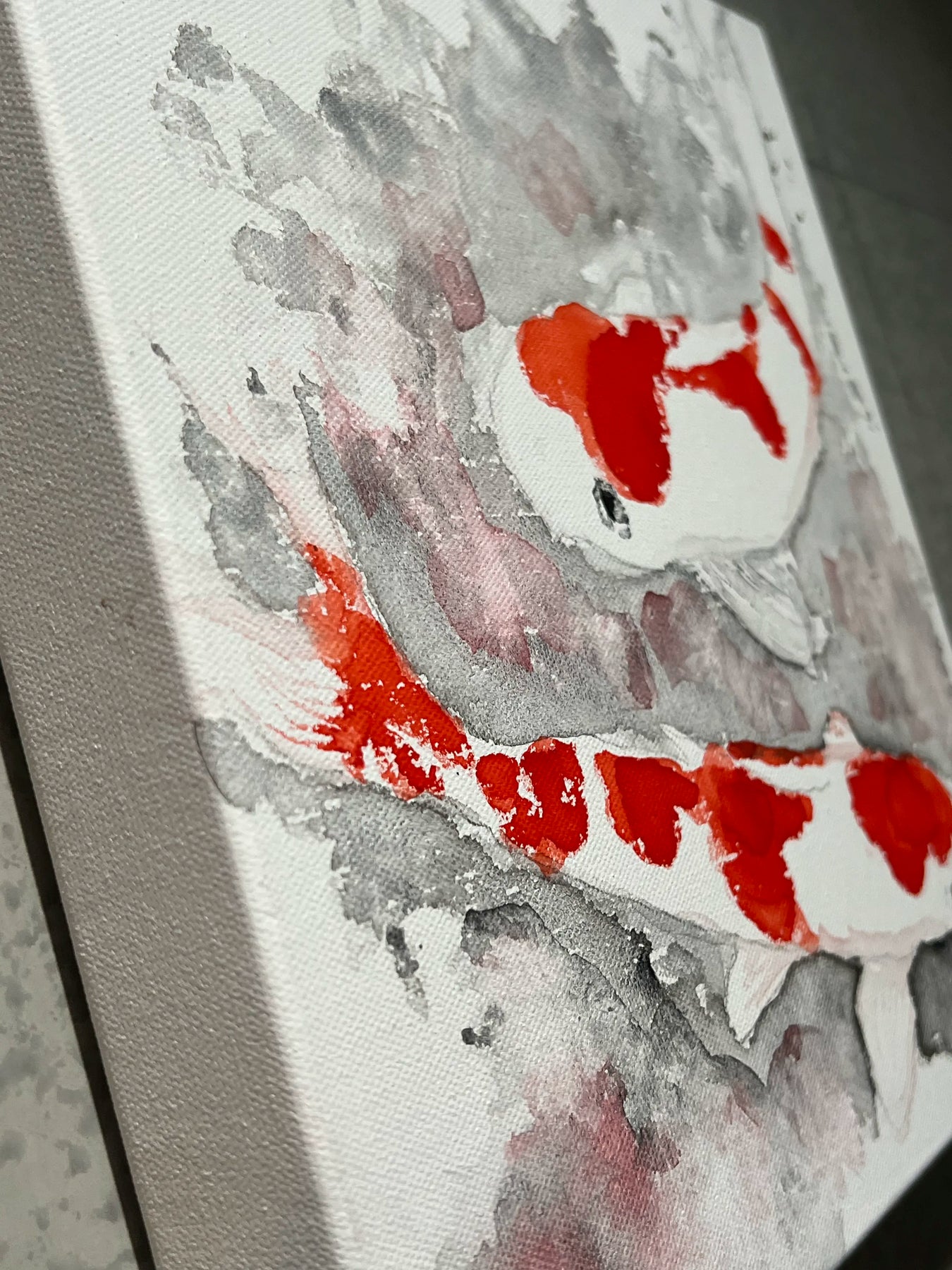 錦鯉 紅白 #1 (Kouhaku) ~ Koi Collection